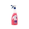 Detergent pentru geamuri ProLine Floral 750ml